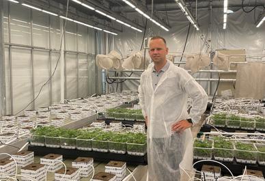 “Twice as much water evaporates from cannabis crops at night as from tomato crops”